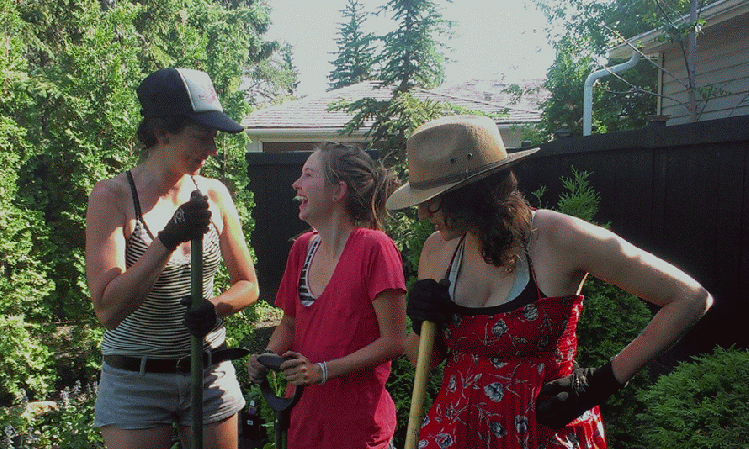 This image has an empty alt attribute; its file name is unnamed.gif